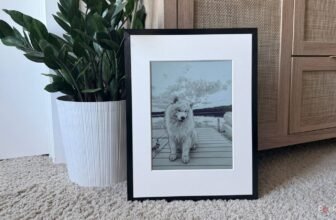 This E Ink image body is the hidden decor gem your partitions are lacking
