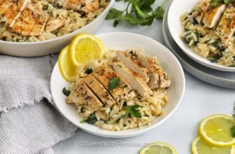 Lemon Hen Orzo